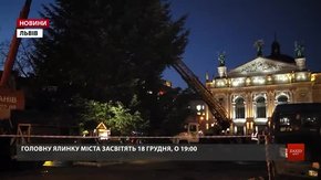 На площі перед Оперним театром встановили головну ялинку Львова