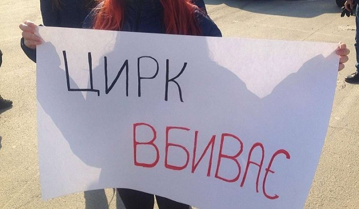 В Івано-Франківську суд скасував заборону на пересувні цирки з тваринами