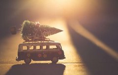 Не жива і не штучна