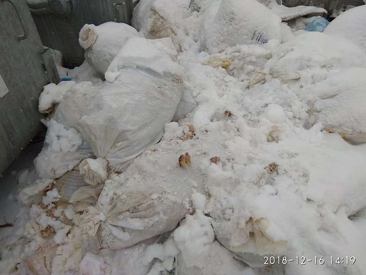 У Жовкві біля сміттєвих контейнерів виявили понад 25 мішків із рештками тварин 