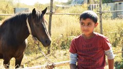 Між стереотипами та реальністю