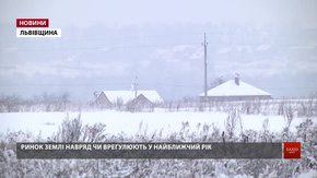 Верховна Рада може продовжити мораторій на продаж земель
