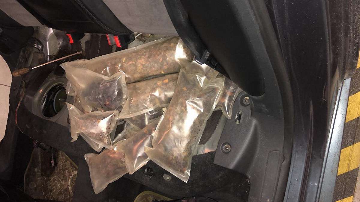 У баку автівки на кордоні у Грушеві виявили 20 кг бурштину