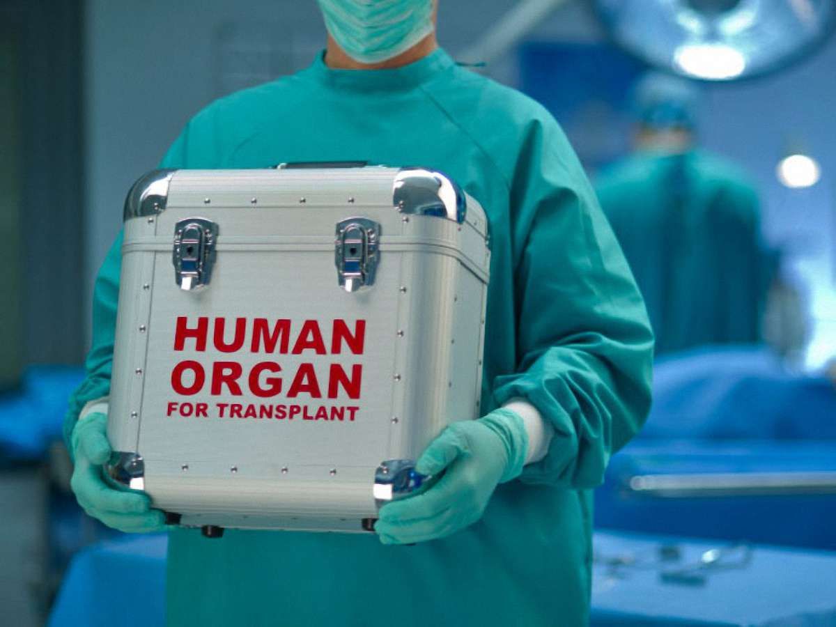 Уряд затвердив порядок надання згоди на посмертне донорство органів