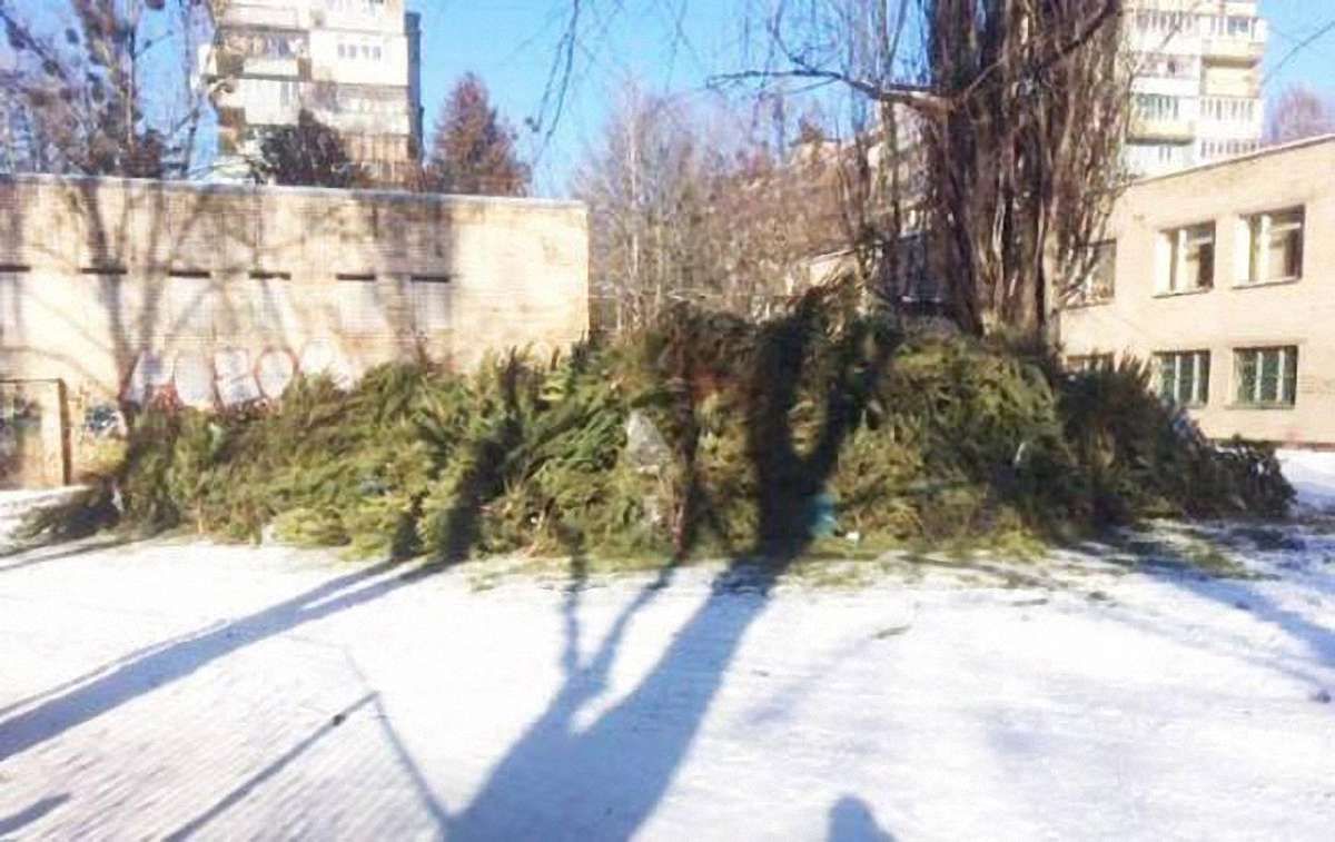 Цьогоріч львів’янам буде зручніше здати ялинку на утилізацію