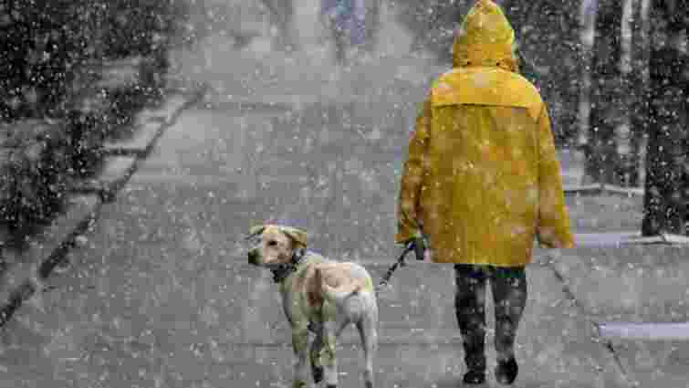 Циклон Benjamin принесе до України мокрий сніг та штормовий вітер