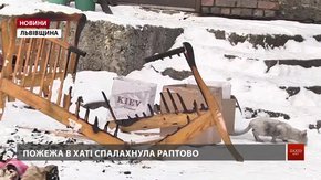 Мама дитини, що загинула під час пожежі на Львівщині, розповіла про ймовірну причину трагедії