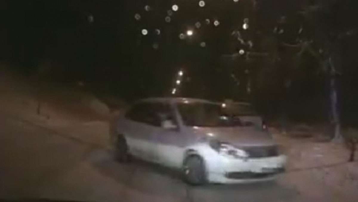 У Львові п’яний водій втікав від поліції та розбив свій автомобіль