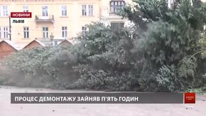 Головну ялинку Львова демонтували
