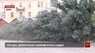 Головну ялинку Львова демонтували