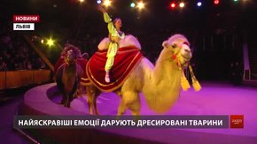 У Львівському цирку нова прем'єра яскравих емоцій