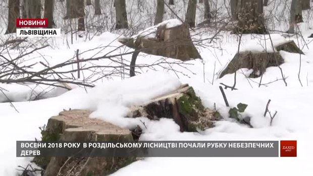 Український кругляк провозять контрабандою до Європи