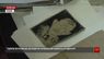 У львівському музеї показали шарж на Романа Шухевича, який виявили серед віднайденого архіву УПА