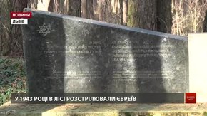 40 гектарів лісу в Рудному можуть віддати під приватну забудову