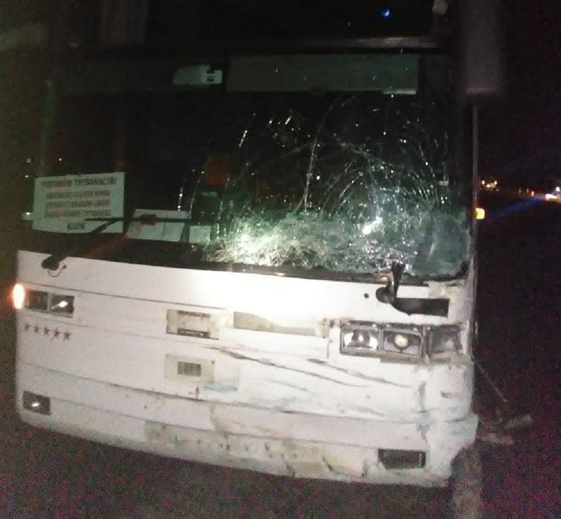 На трасі Львів-Шегині автобус міжнародного сполучення потрапив у ДТП, є загиблий