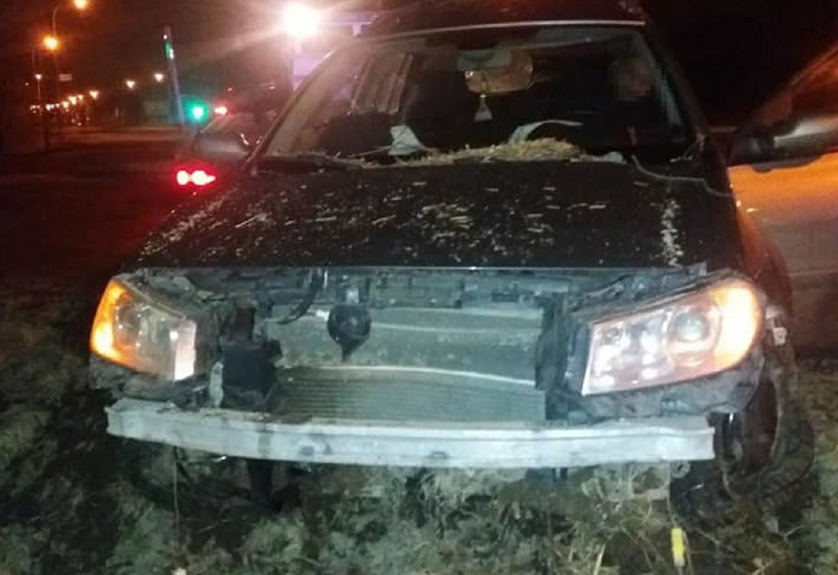 Нетвереза львів'янка з двома дітьми в автомобілі вчинила ДТП