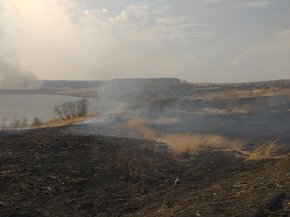 За вихідні на Львівщині вогнеборці ліквідували понад півсотні пожеж сухої трави