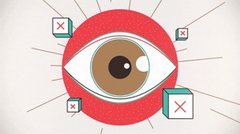 Хто з кандидатів поділяє твої погляди?