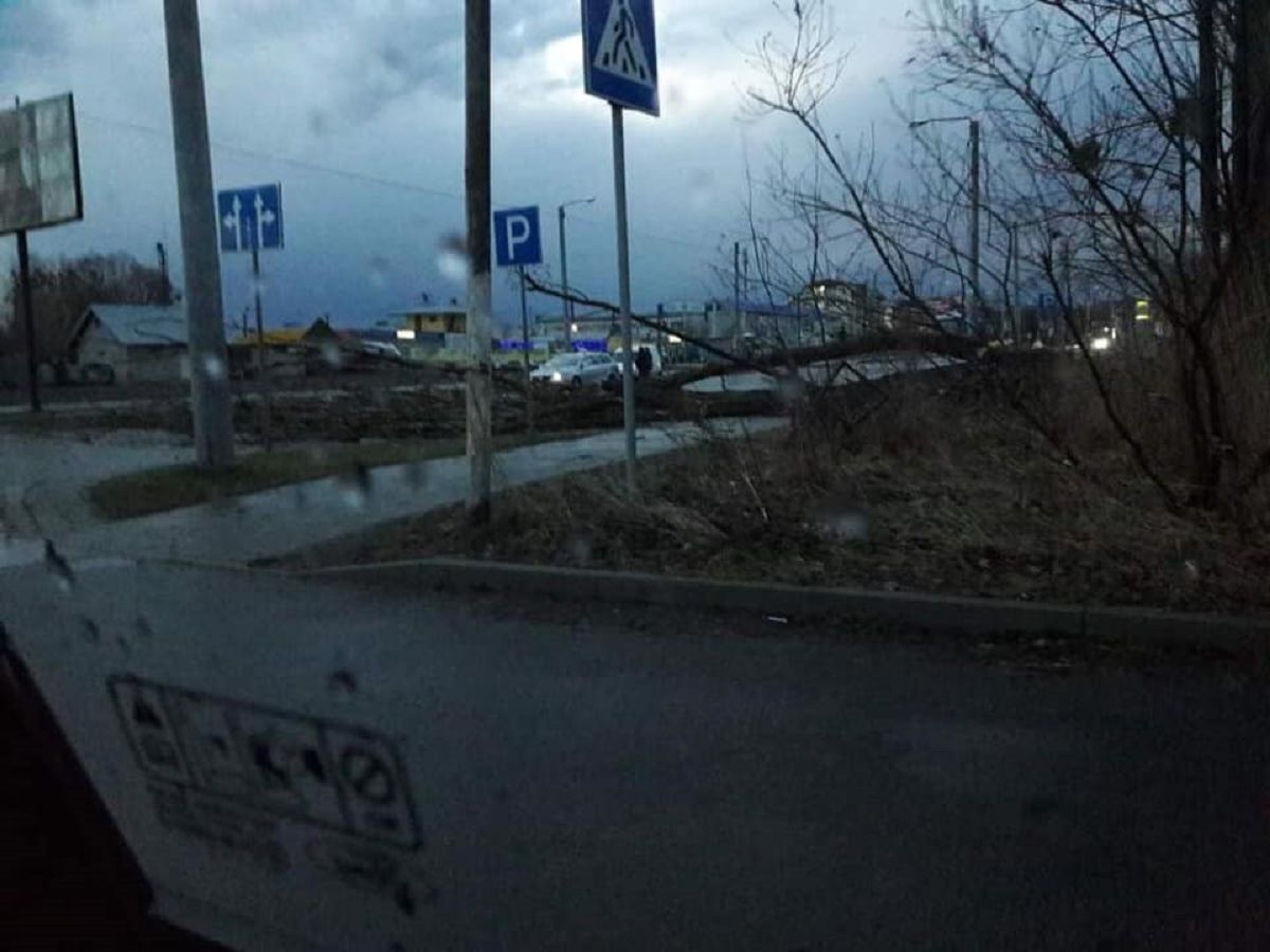 На Львівщині оголосили штормове попередження через шквальний вітер
