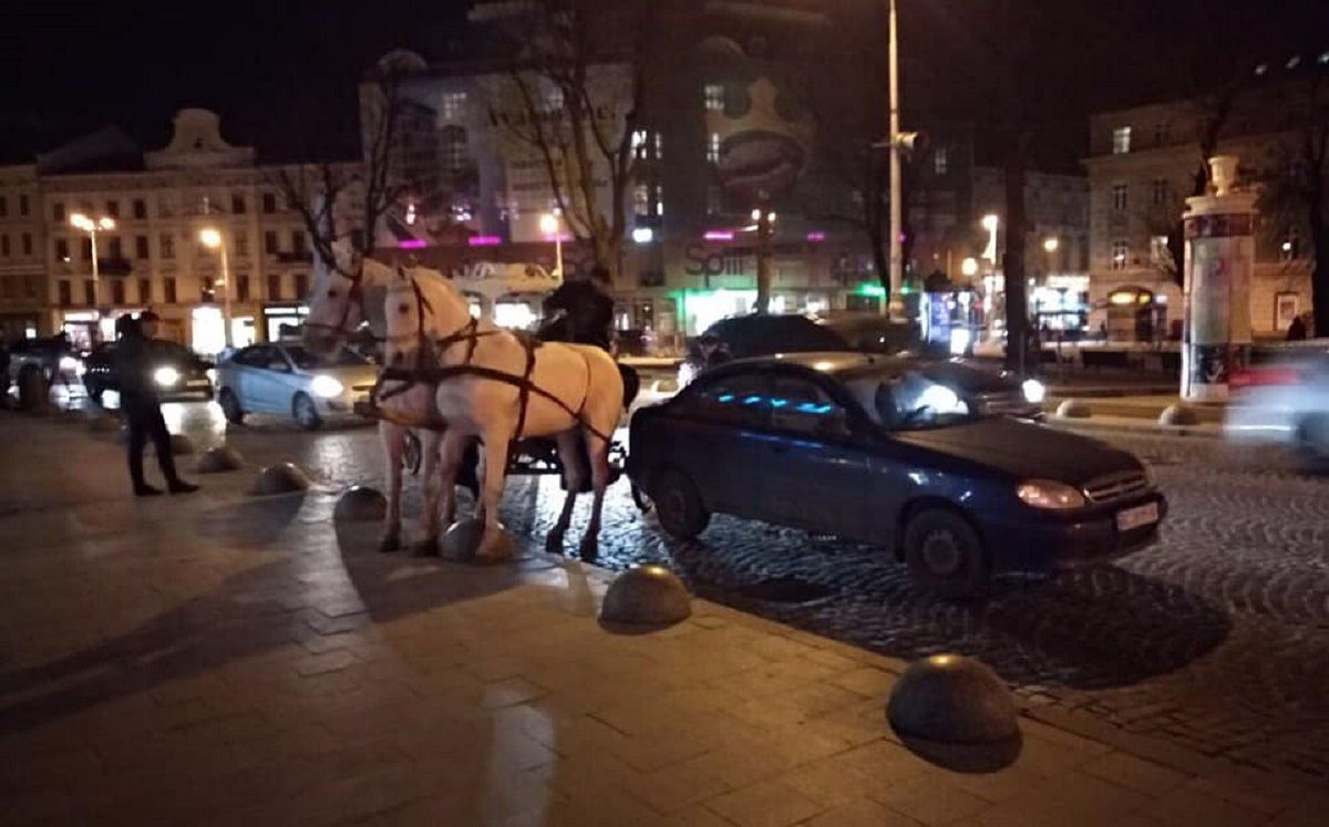У центрі Львова п’яний кучер прогулянкової карети скоїв ДТП та втік