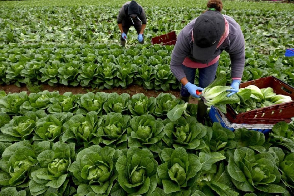 Українських заробітчан можуть зобов'язати щорічно сплачувати гроші до держбюджету