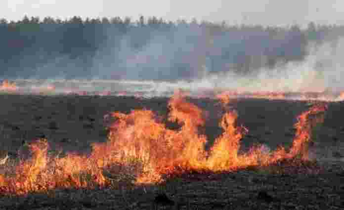 На Львівщині впродовж доби рятувальники загасили 29 пожеж сухостою