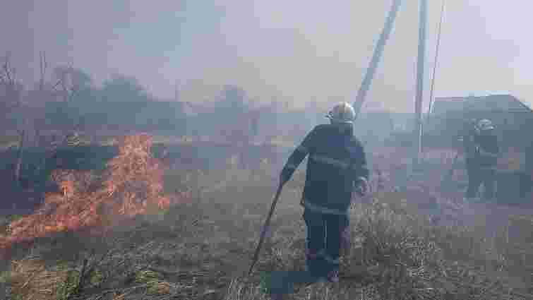 У масштабній пожежі на Закарпатті згоріли 35 га лісу