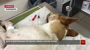 «Лопатою по голові і в річку»