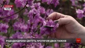 День відкритих дверей у львівському ботанічному саду відвідали понад 10 тисяч людей