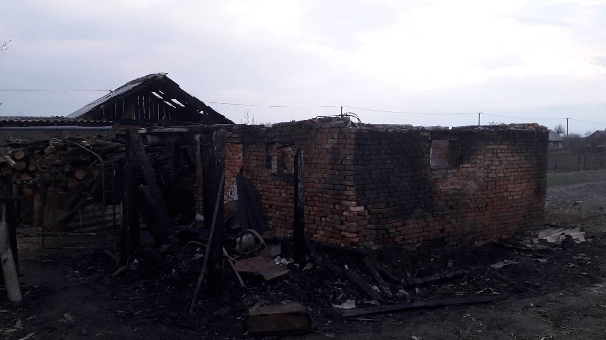 На Сокальщині під час пожежі у господарській будівлі загинули свійські тварини