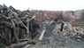 На Львівщині через конфлікт із «чорними» лісорубами багатодітній матері спалили стайню з худобою