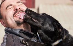 Обійми свою Фіону