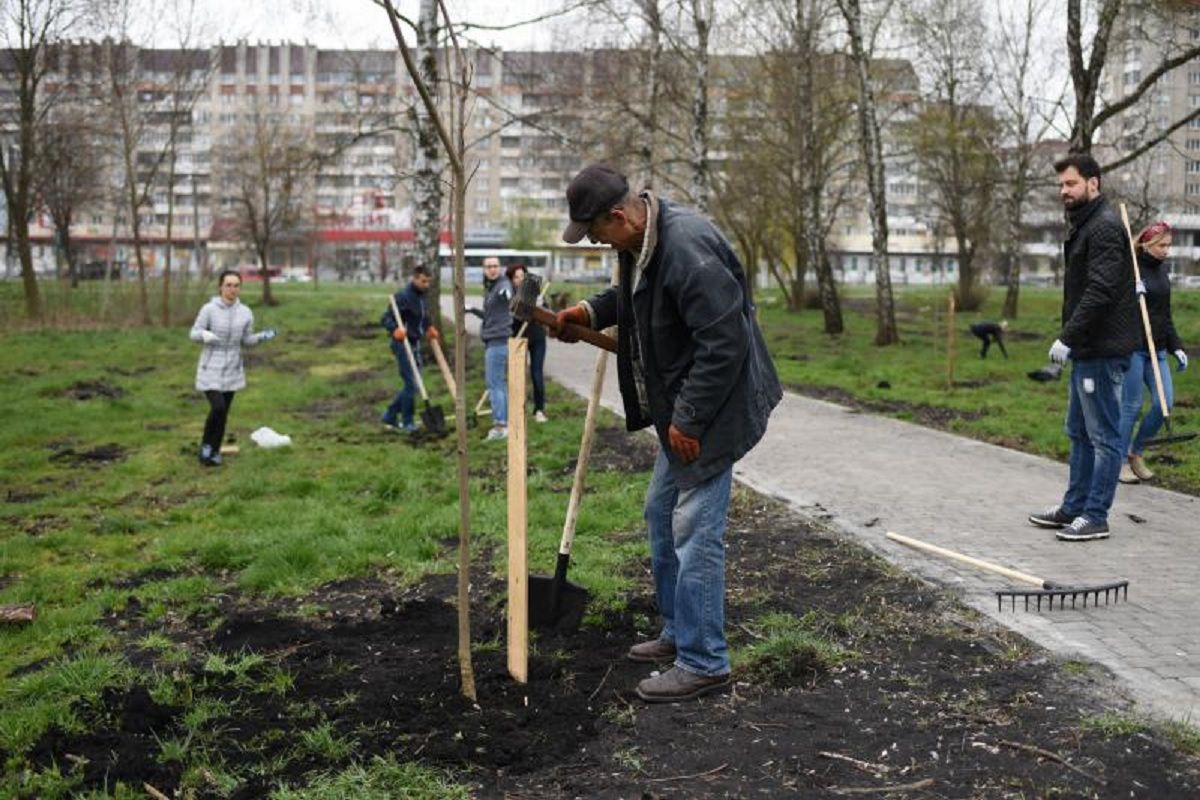Під час толоки у парках Львова висадили понад сотню дерев та кущів