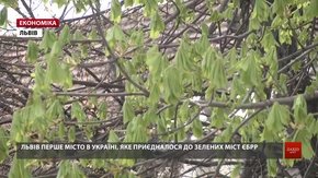 ЄБРР допоможе Львову вирішити екологічні проблеми у місті