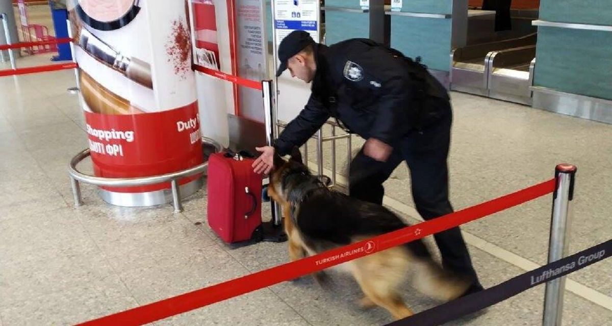 Через повідомлення про замінування з аеропорту «Львів» евакуювали 700 людей