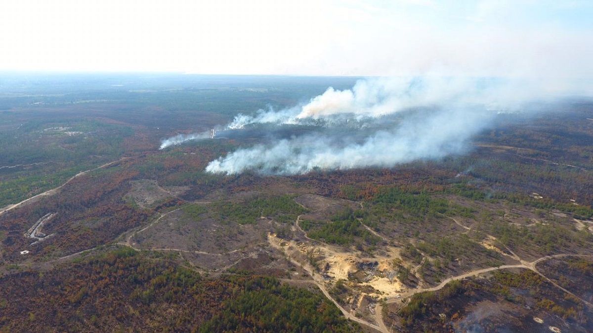 Масштабна лісова пожежа виникла на кордоні з Білоруссю
