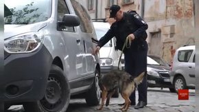 Після обстеження вісьмох готелів та двох торгових центрів у Львові не виявили вибухівки