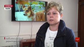 Через собаку із сказом ЛКП «Лев» закрили на карантин