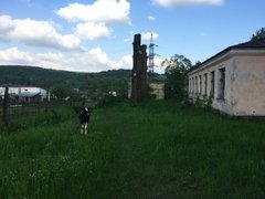 «Більше 30 років людей мали за дурнів»