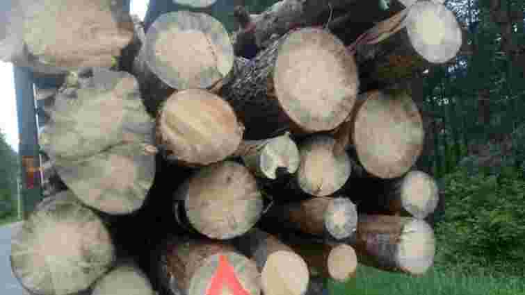 На Львівщині патрульні затримали вантажівку з нечіпованою деревиною