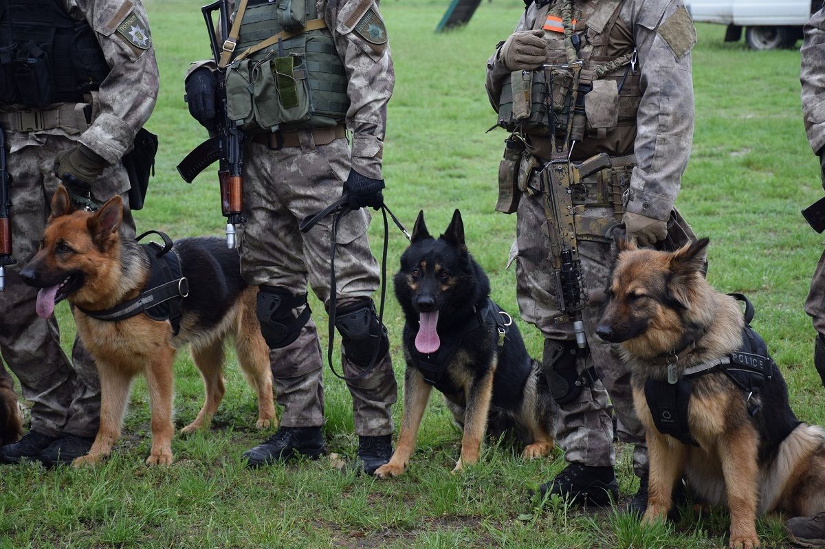 У кінологічному центрі на Львівщині підготували вісьмох собак-спецпризначенців