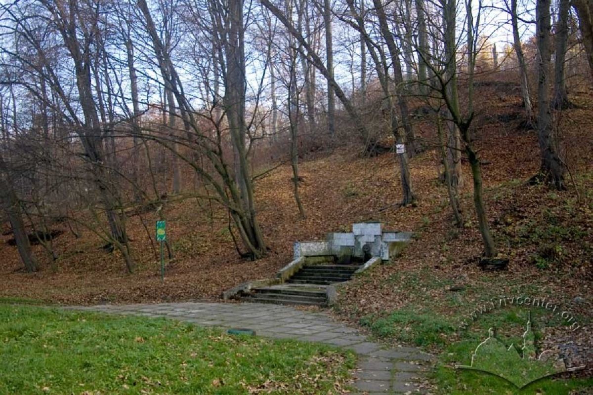 Фірма 24-річної танцівниці шоу-балету відремонтує львівський парк за 26 млн грн 
