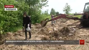 Свиноферма влаштувала незаконний скотомогильник на землях атовців біля Кам’янки-Бузької