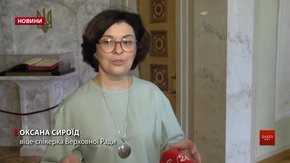 Верховна Рада від’єднала Соснівку і Гірник від Червоноградської ОТГ