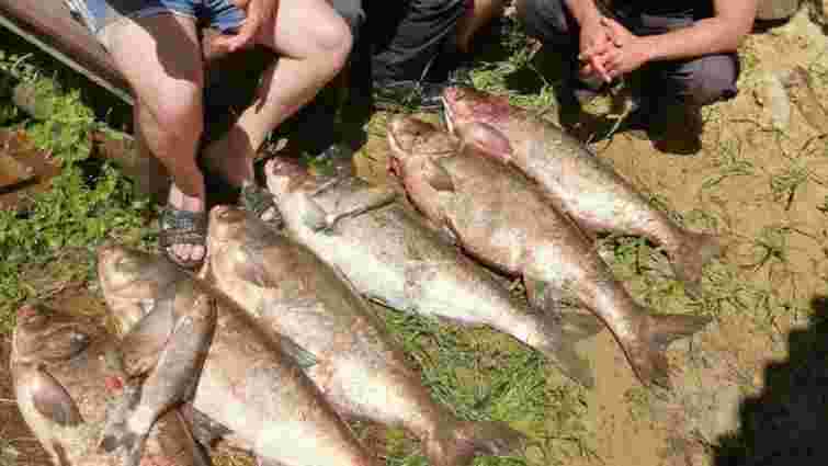 Під час повені в Одеській області на поля та городи селян винесло рибу