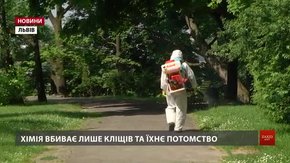 Кожен третій перевірений кліщ з львівських парків інфікований хворобою Лайма