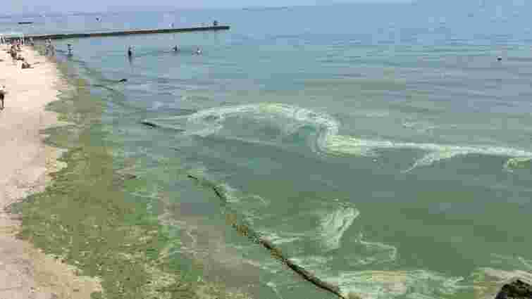 Через аномальне цвітіння водостей українцям порадили не купатися на узбережжі Одещини