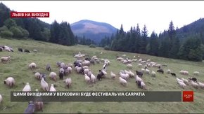 Культурні події у Львові на вихідні 14-16 червня