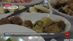 Як вберегтися від сальмонельозу