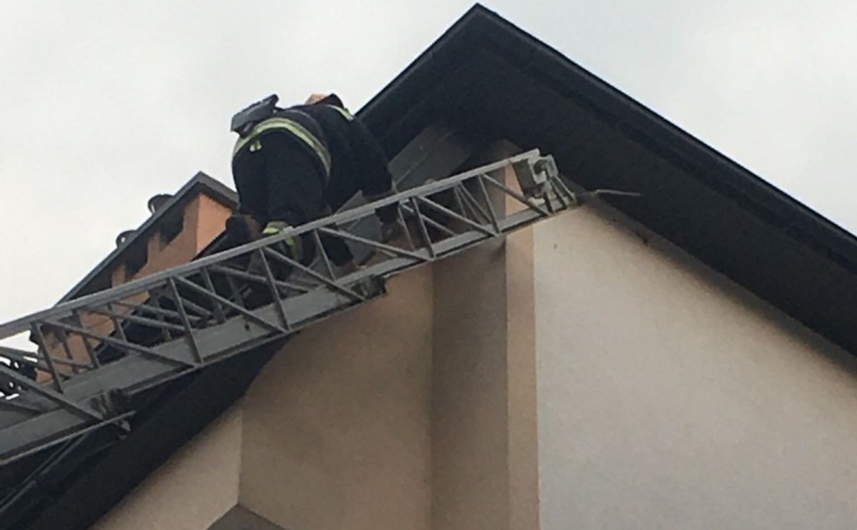 Львівських рятувальників викликали на порятунок ластівки, що заплуталась під дахом будинку